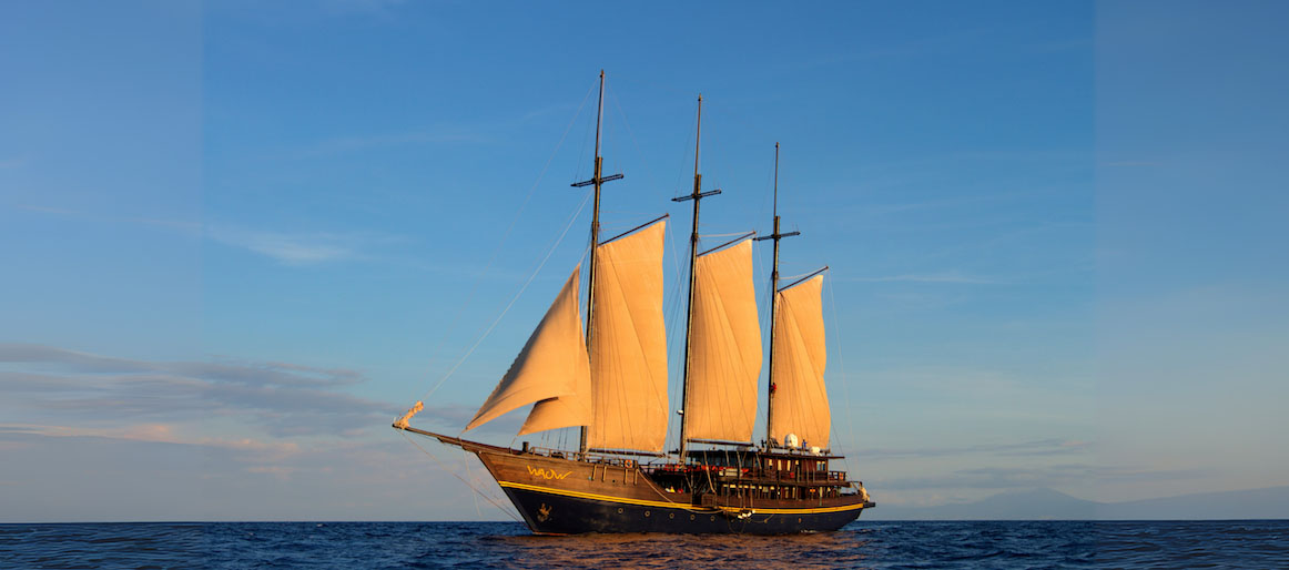MSY WAOW Pinisi Liveaboard burned and sank February 1st 2018 in Biak Harbor, Indonesia